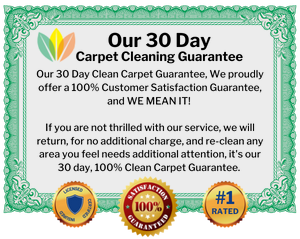 30 day clean carpet guarantee